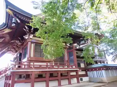 諏訪神社の本殿・本堂