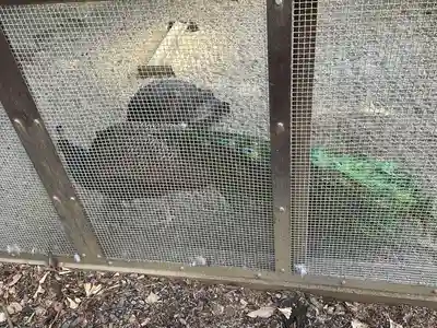 岩槻久伊豆神社(埼玉県)