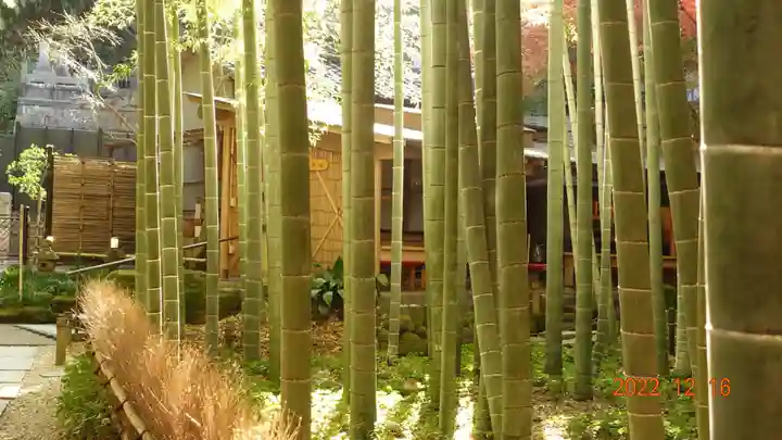 報国寺(神奈川県)