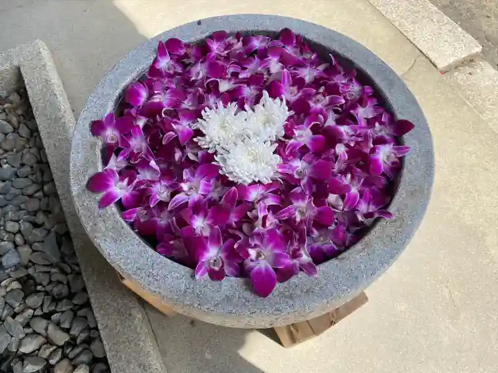 美濃國一宮 南宮大社の手水舎