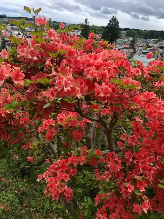 天王神社の自然