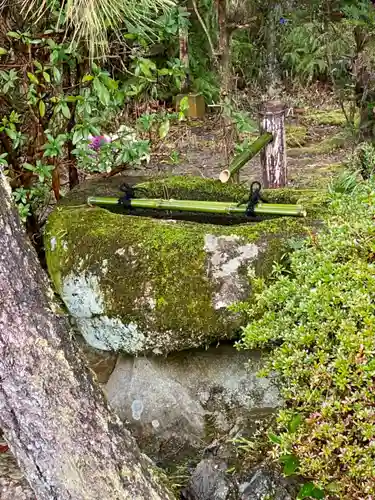 隨心院（随心院）(京都府)