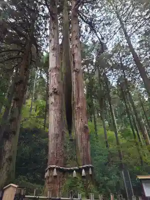 御岩神社(茨城県)
