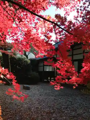 妙法寺(東京都)