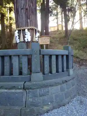 諏訪大社下社春宮(長野県)