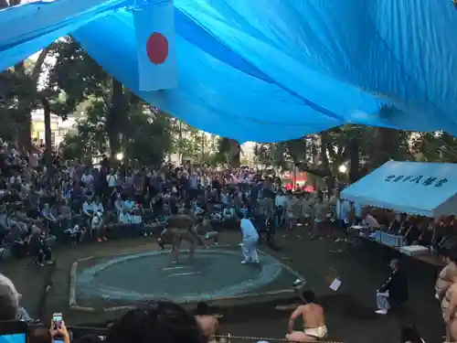 世田谷八幡宮のお祭り
