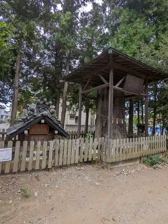 大和田氷川神社(埼玉県)