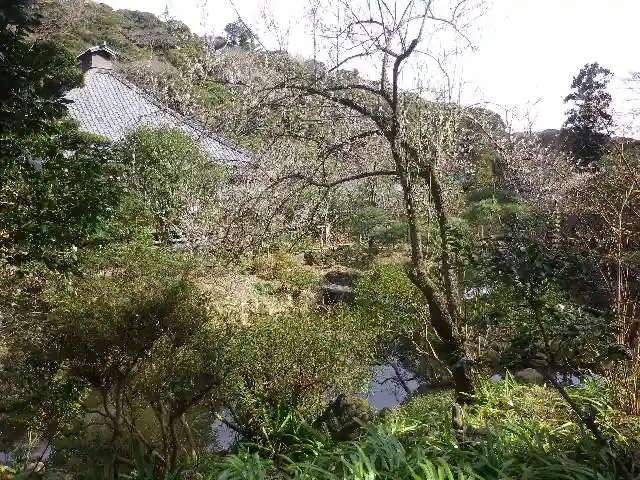 光則寺の庭園