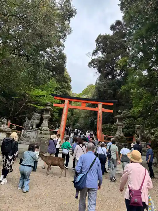 春日大社(奈良県)