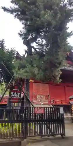 清水観音堂(東京都)