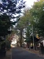 大谷地神社の鳥居