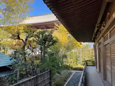 増上寺圓光大師堂のその他建物