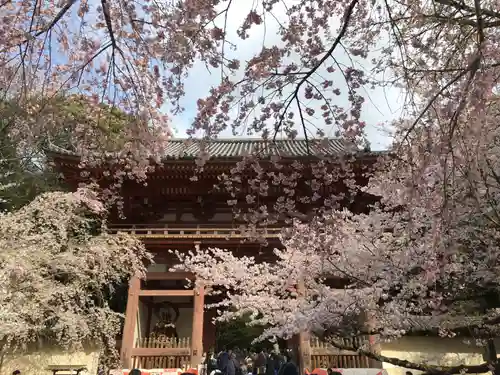 醍醐寺の山門・神門