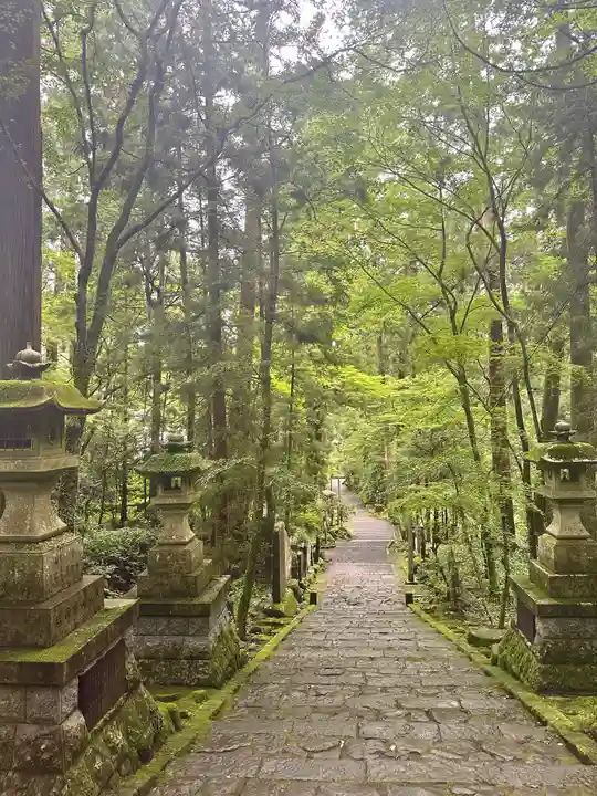 最乗寺(道了尊)(神奈川県)