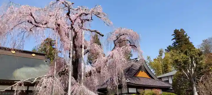 慈雲寺の自然