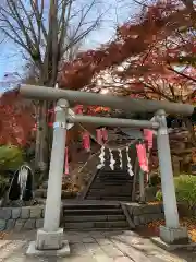 温泉神社〜いわき湯本温泉〜の鳥居