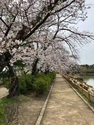 長岡天満宮(京都府)