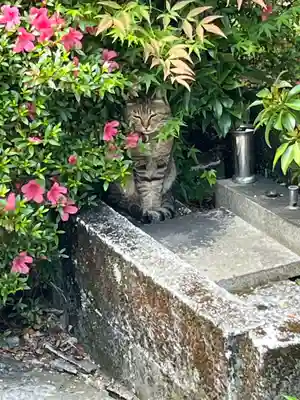 一燈寺(京都府)