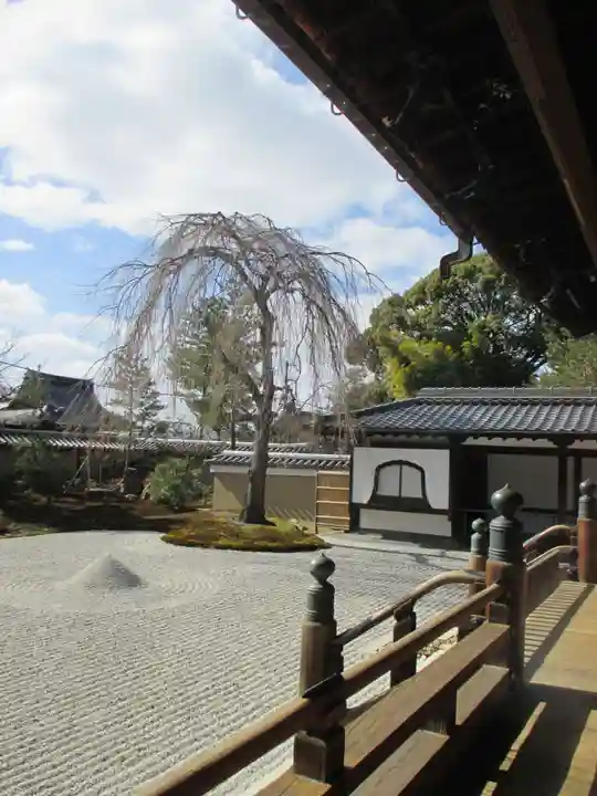 高台寺(高台寿聖禅寺・高臺寺)(京都府)