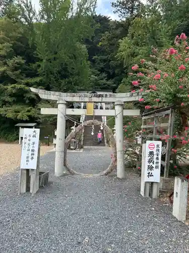 樺崎八幡宮(栃木県)