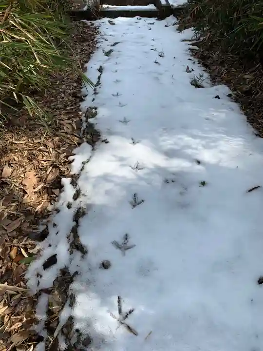 諏訪神社(千葉県)