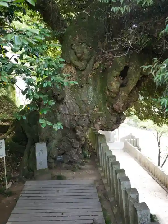 楽法寺(雨引観音)(茨城県)