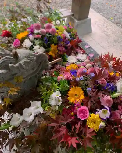 滑川神社 - 仕事と子どもの守り神の手水