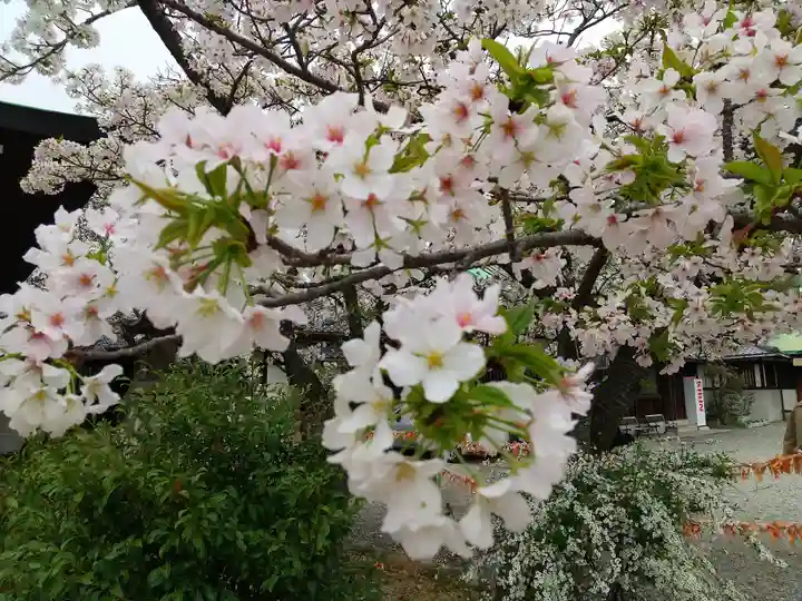 豊國神社(大阪府)