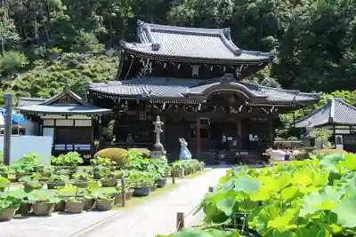 三室戸寺の本殿・本堂