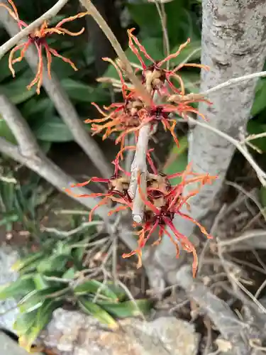 天寧寺(愛知県)