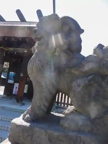 札幌護國神社の狛犬