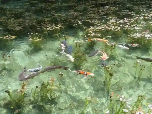 根道神社(岐阜県)
