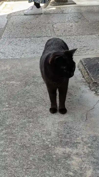 養源院(京都府)