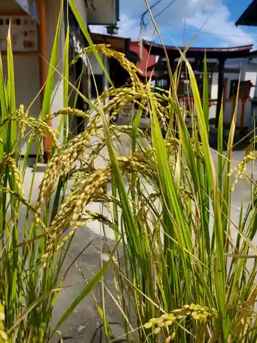 大鏑神社(福島県)
