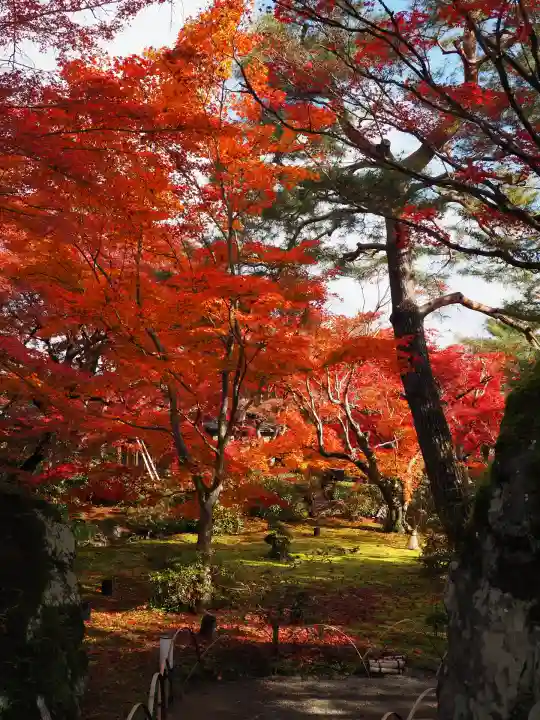 宝厳院(京都府)