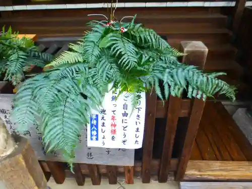 琴崎八幡宮(山口県)