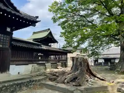 千形神社(埼玉県)