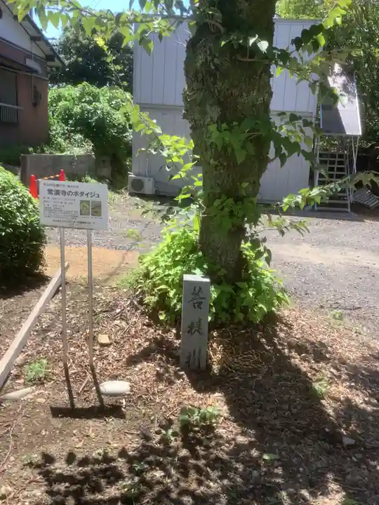 常満寺(愛知県)