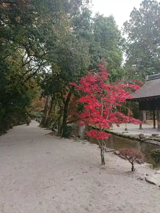 賀茂別雷神社(上賀茂神社)の庭園