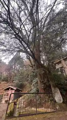 高龗神社(奈良県)