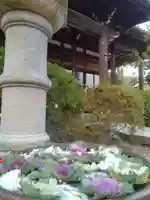 浄誓寺(大阪府)