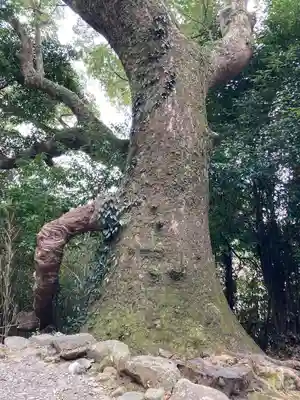 月讀宮（皇大神宮別宮）(三重県)