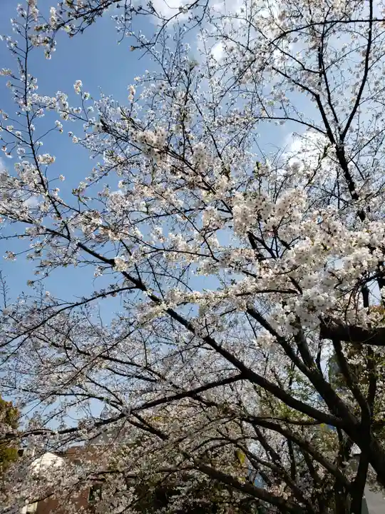 宝仙寺(東京都)