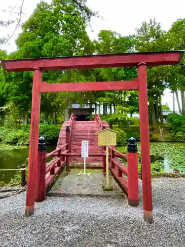 金剛證寺の鳥居