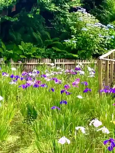 本土寺(千葉県)