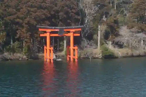 箱根神社の鳥居