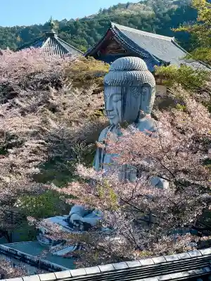 南法華寺（壷阪寺）(奈良県)
