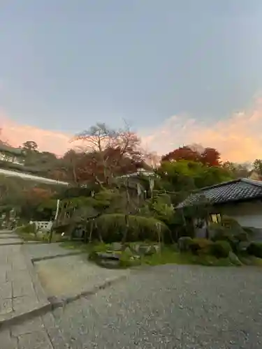 岡寺（龍蓋寺）(奈良県)