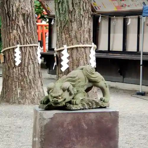 田無神社の狛犬