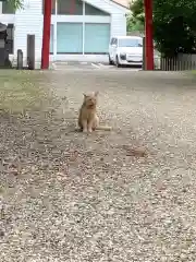 長楽寺の動物